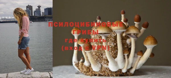 СК Алзамай