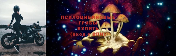 меф Ельня