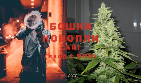 apvp Вяземский