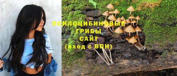 героин Абаза