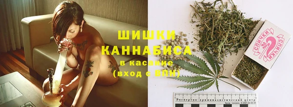 СК Алзамай